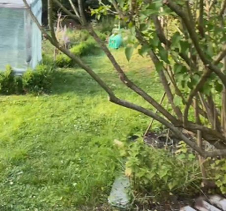 Sexmeat xxx model gallery