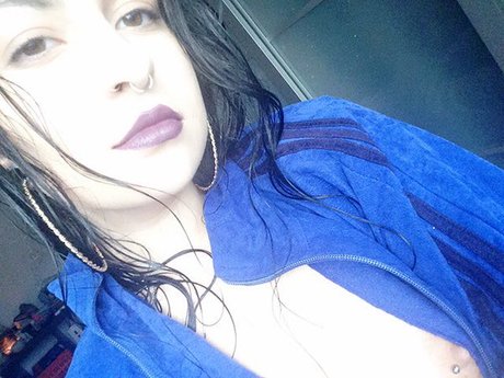 Pinustri Quick photo