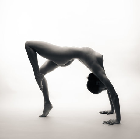 Nicole Brennan star art galleries