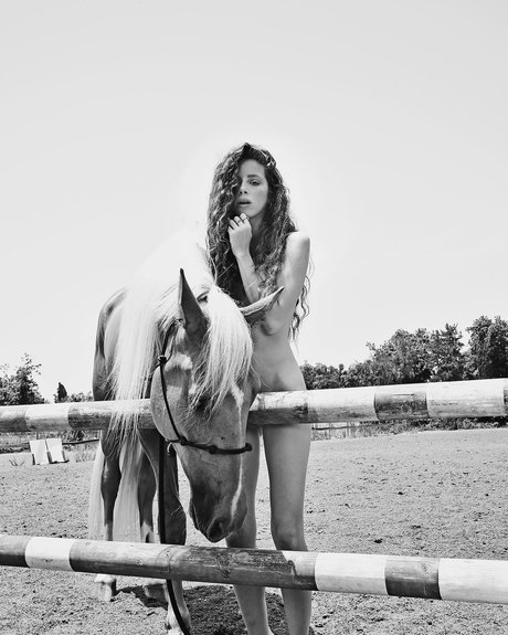 Daniel Shtayman nude pornstar galleries