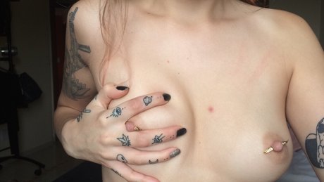 Hillmayer best star archive