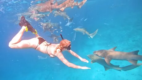 Manyazzzz star pornographic photo