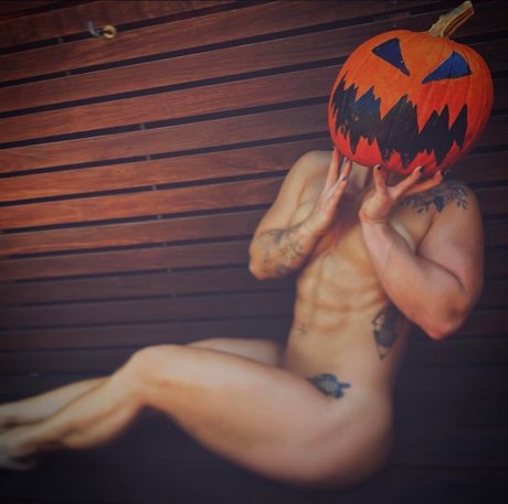 Dani Speegle art star images