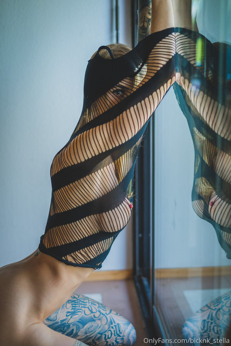 STEFFI_ best model galleries