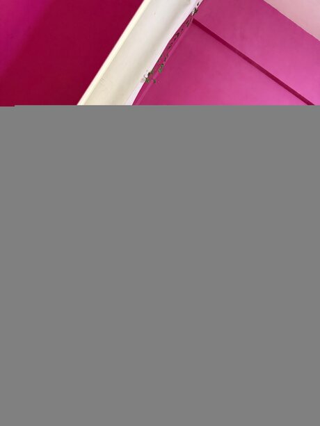 Sofiaindivar nudes model archive