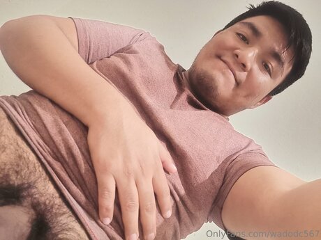 Wadodc567 pornographic star img