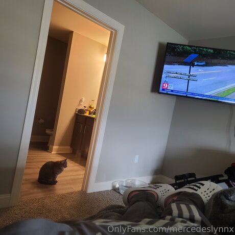 Mercedeslynnx star free archive