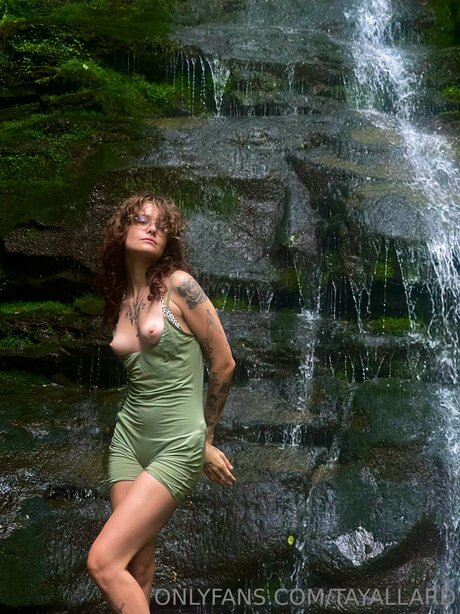 Tayallard art model img