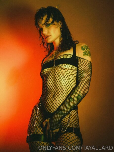 Tayallard star pornographic galleries