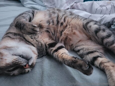 Daisanokensha model nice archive