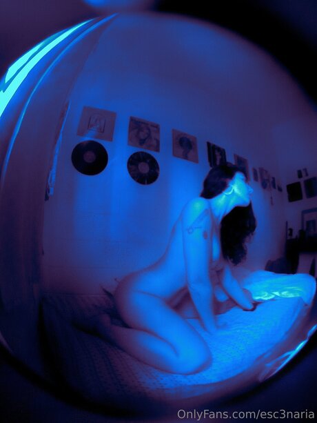 Esc3naria star top galleries