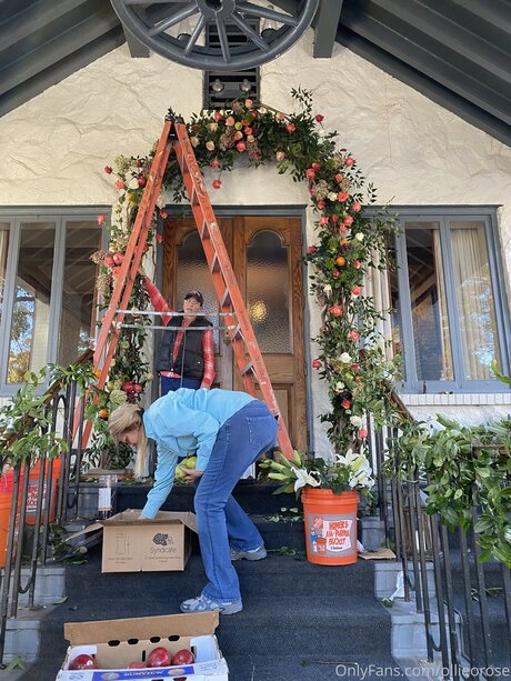 Ollieorose top star pics