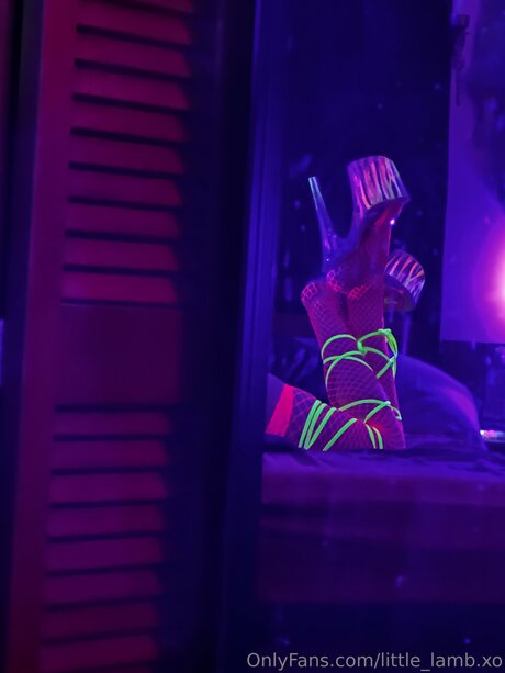 Little Lamb Xo pornstar xxx img