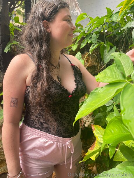 Ray Sunshine best model archive