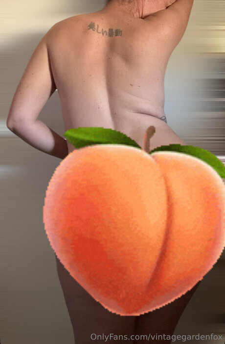 Vintagegardenfox best star galleries