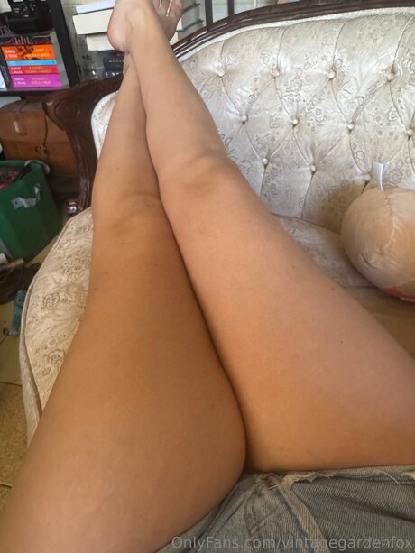 Vintagegardenfox pornstar image