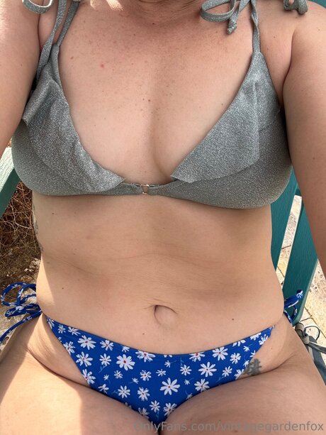 Vintagegardenfox star free pic