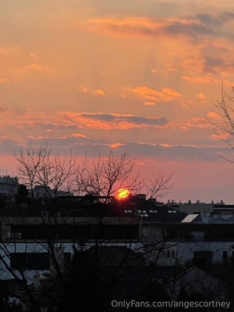 Angescortney perfect actress pic