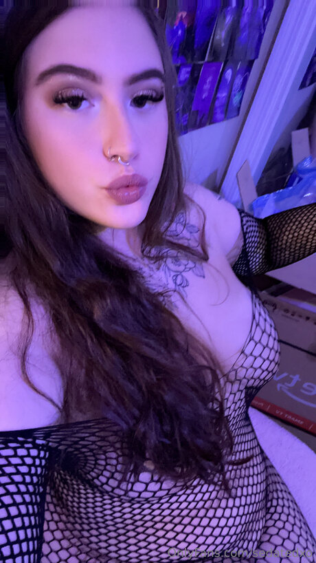 Sedatedxo model best archive