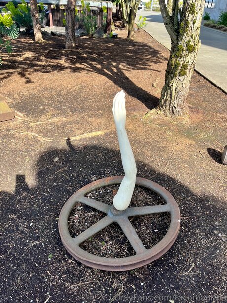 Tacomaarms pornographic star archive