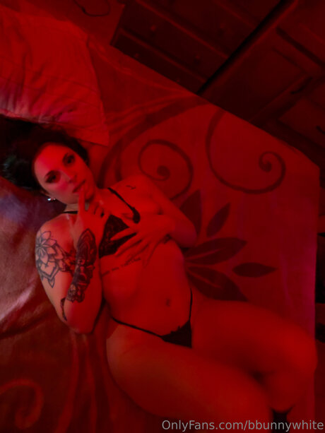 Bbunnywhite adult star galleries