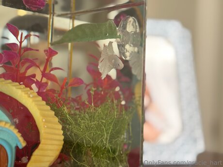 Gracie Hart star hd img