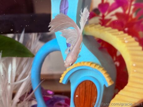 Gracie Hart pornstar hd photos