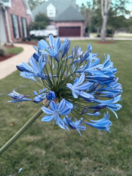 teen trans onlyfans beautiful xxx photo