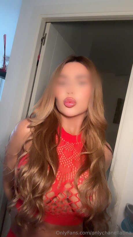 Onlychanellatina star best img