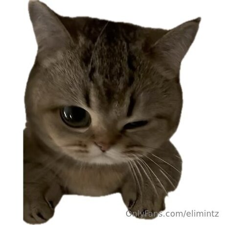 Elimintz art pornstar pictures