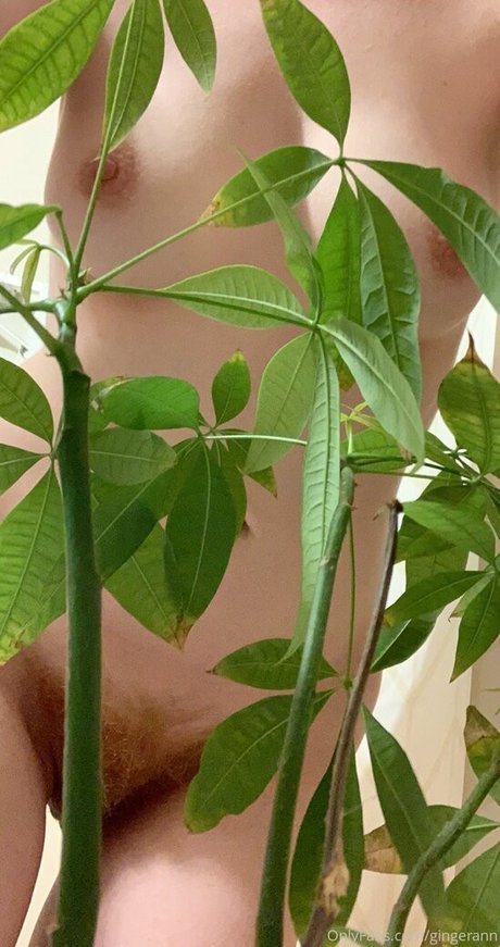 gingerann nudes actress picture