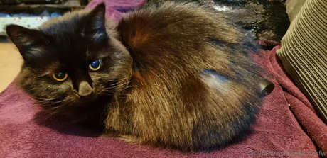 joebutnsfw nudes pornstar photo