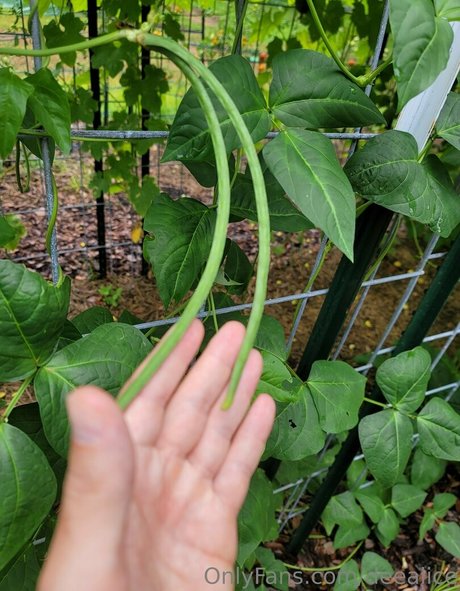 deealice Quick photo