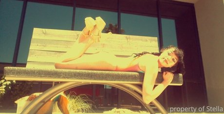 stellaaeternum nice star img