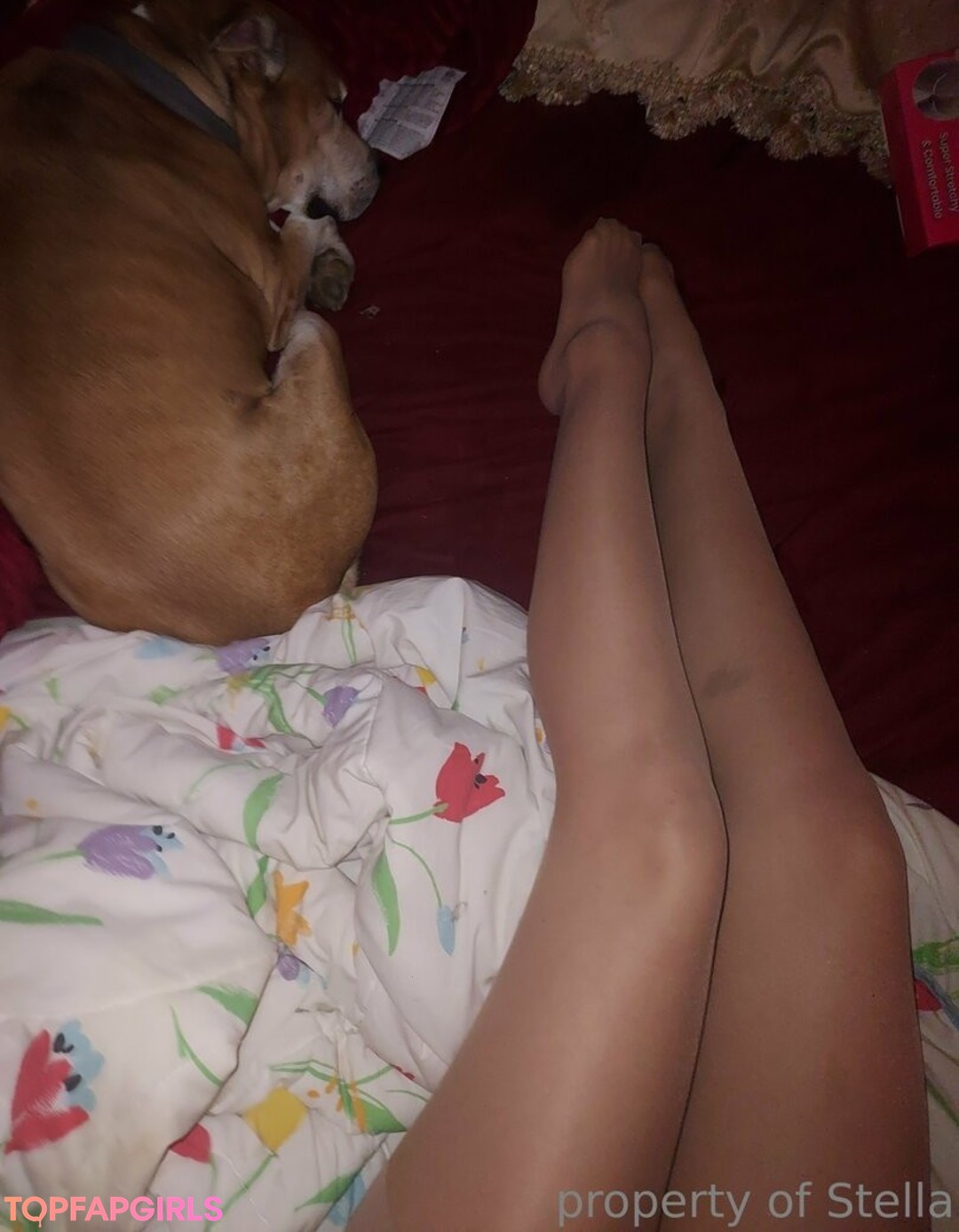 bbw nude onlyfans hot porn photos