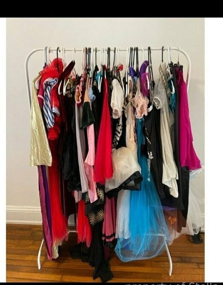 stellaaeternum art star galleries