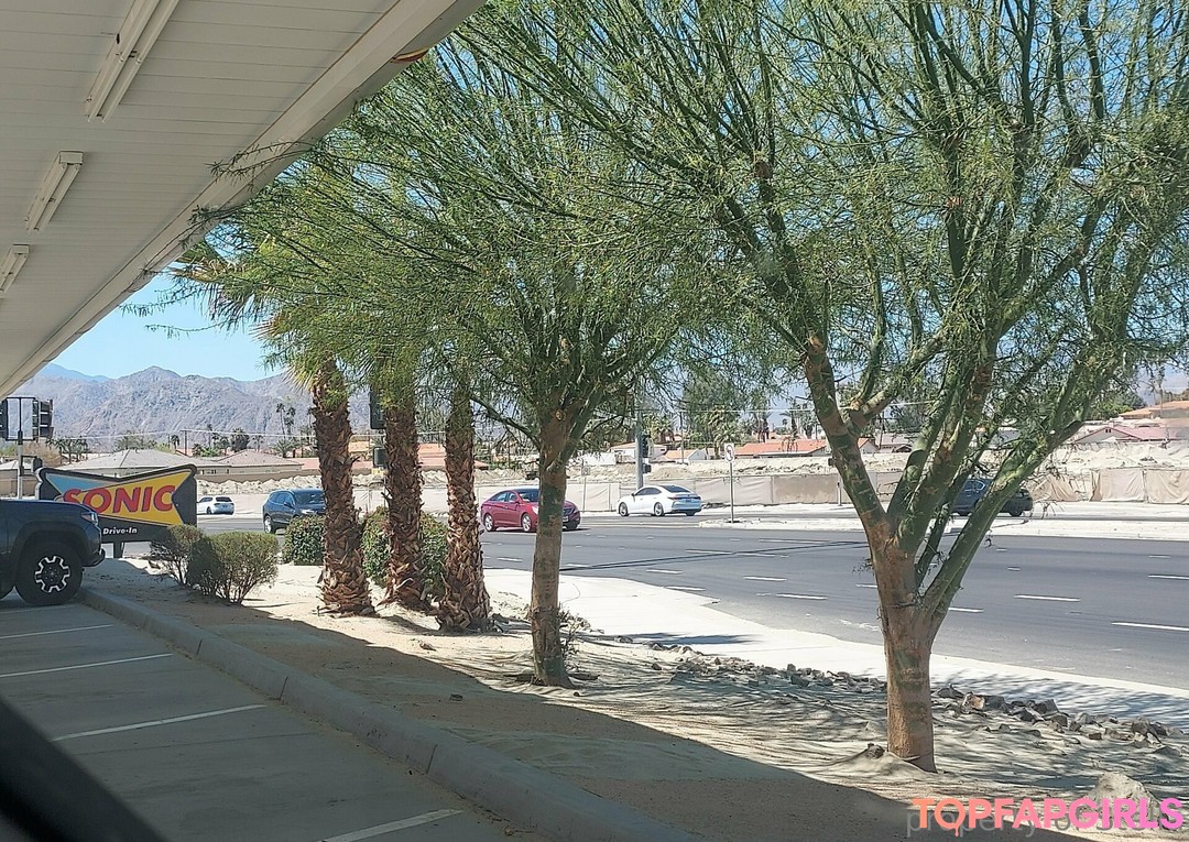 stellaaeternum star nice archive