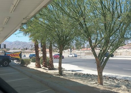 stellaaeternum star nice archive