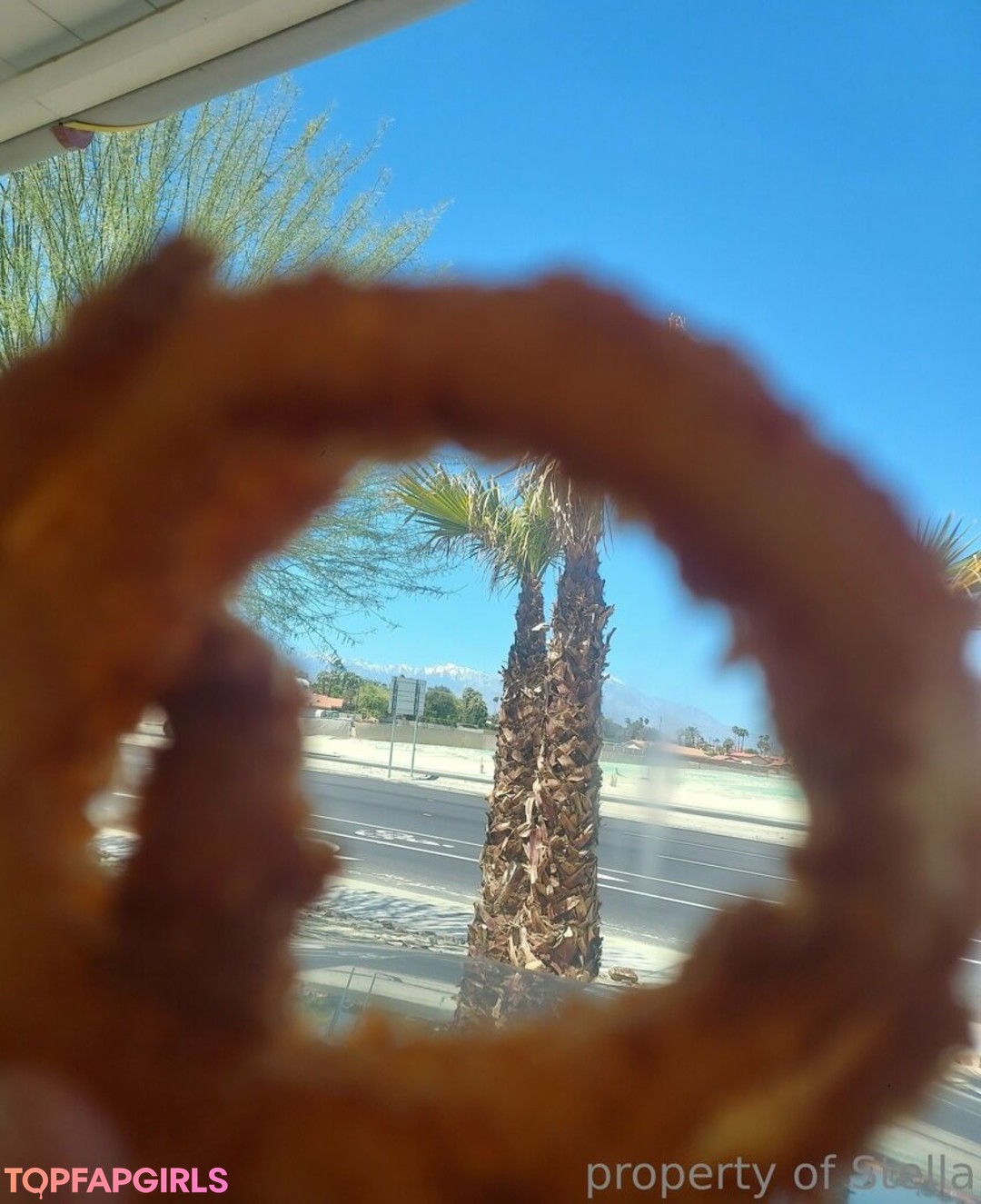 stellaaeternum star gallery