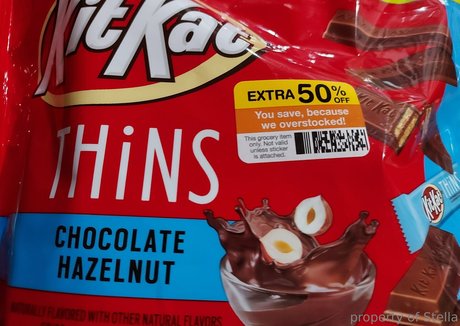 stellaaeternum model art image