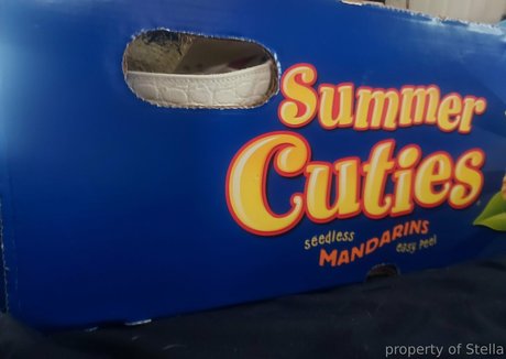 stellaaeternum nudes pornstar picture