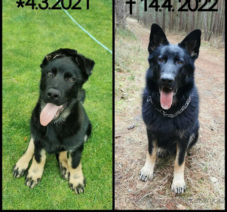 Fitkacenka2 sex star photos