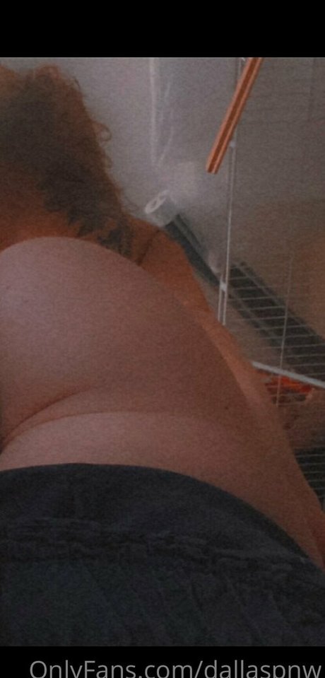 dallaspnw Quick photo