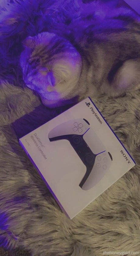 honeygold pornstar best photo