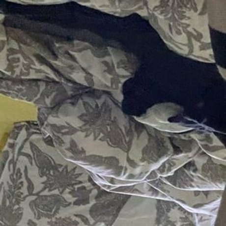 jeanhollywood Quick photo