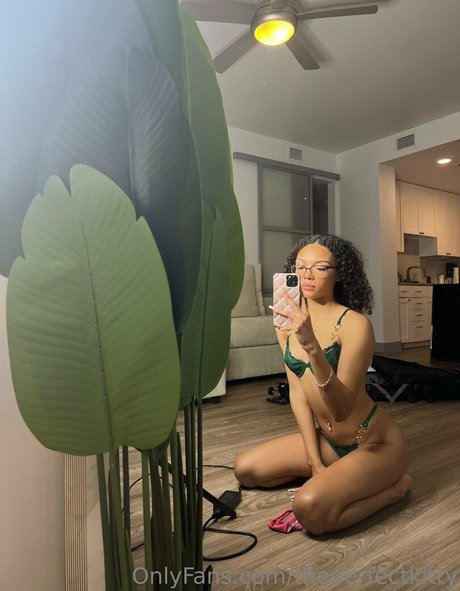 theperfectkitty nudes model img