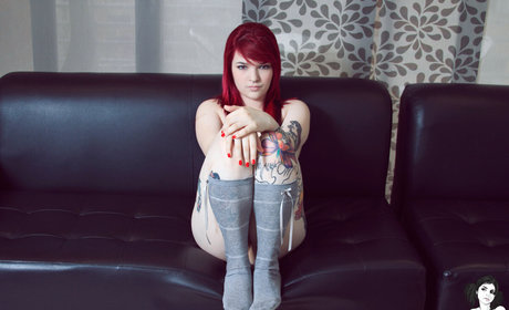 Nina Gato star photos