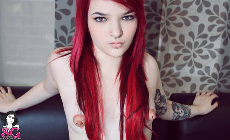 Nina Gato free pornstar gallery