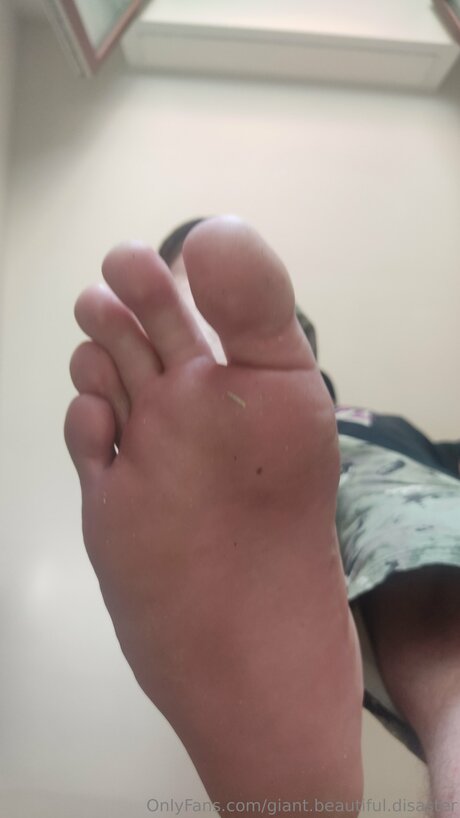 Giant Beautiful Disaster model best galleries