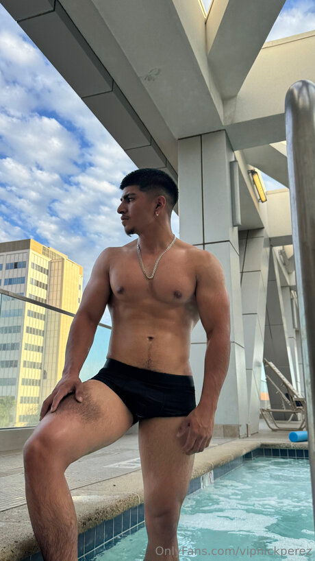 Vipnickperez pornstar erotic archive